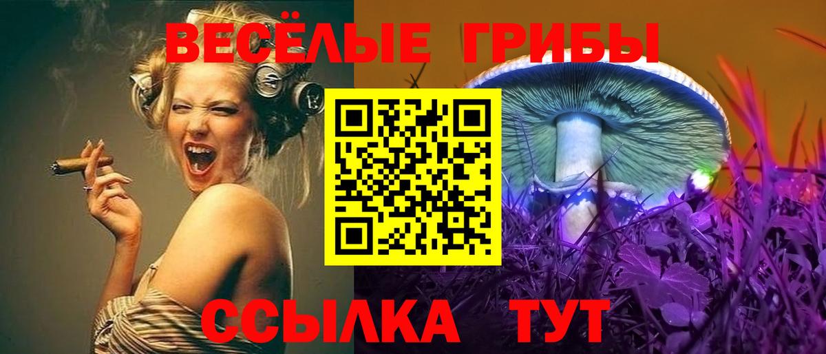 Псилоцибиновые грибы ЛСД  Вход с VPN  Апатиты 